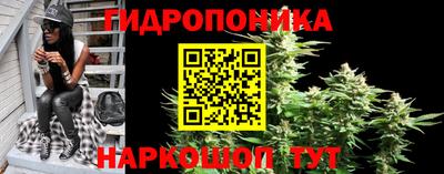apvp Бердск