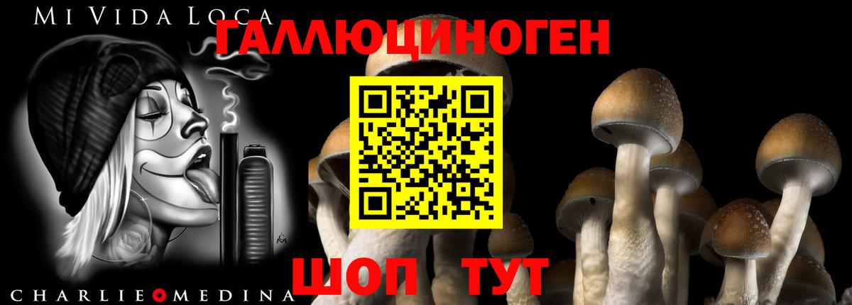 Чернушка  Псилоцибиновые грибы мицелий  Вход с VPN 